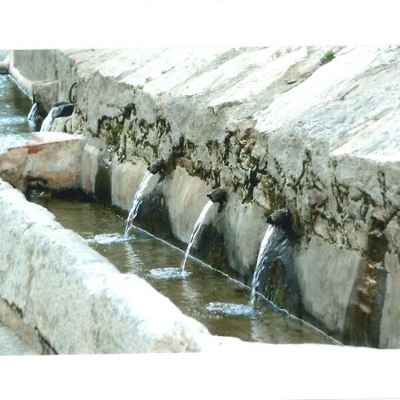 Camping Alberg Municipal Tivissa Екстериор снимка