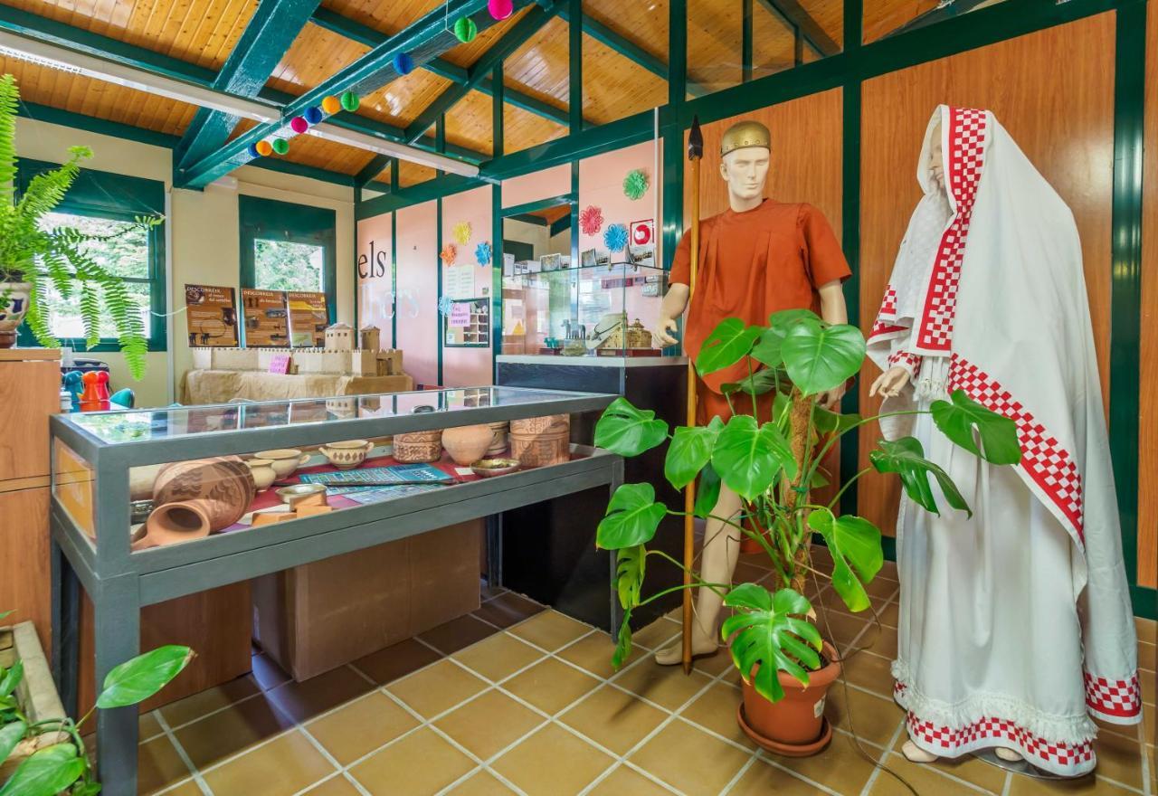 Camping Alberg Municipal Tivissa Екстериор снимка