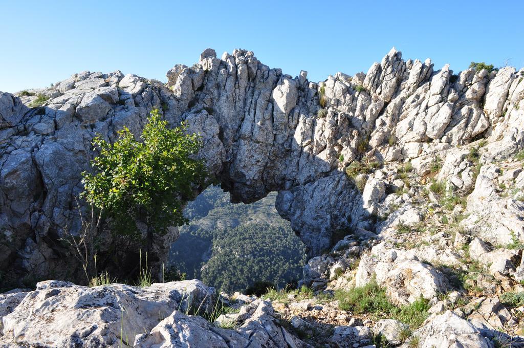 Camping Alberg Municipal Tivissa Екстериор снимка